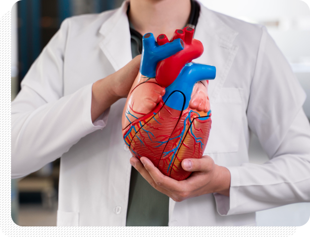 Advanced Vascular Add-Ons (for fuller insights) 